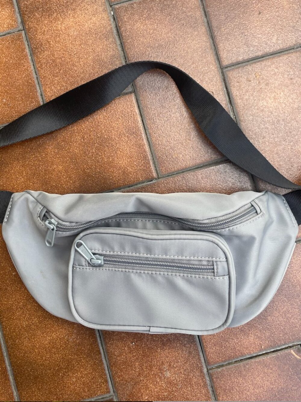 Aritzia Auxiliary Main Character Belt Bag